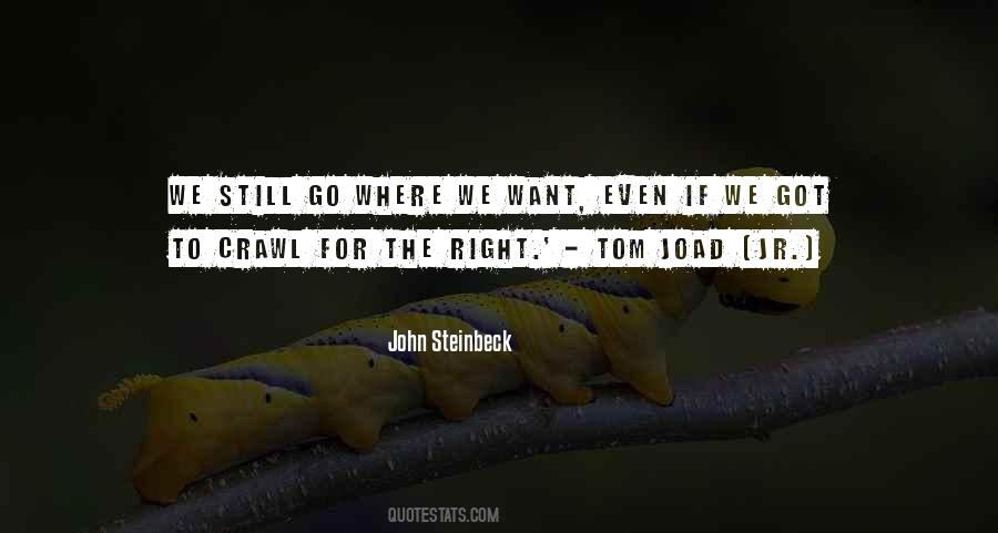 C.e.m. Joad Quotes #1195580