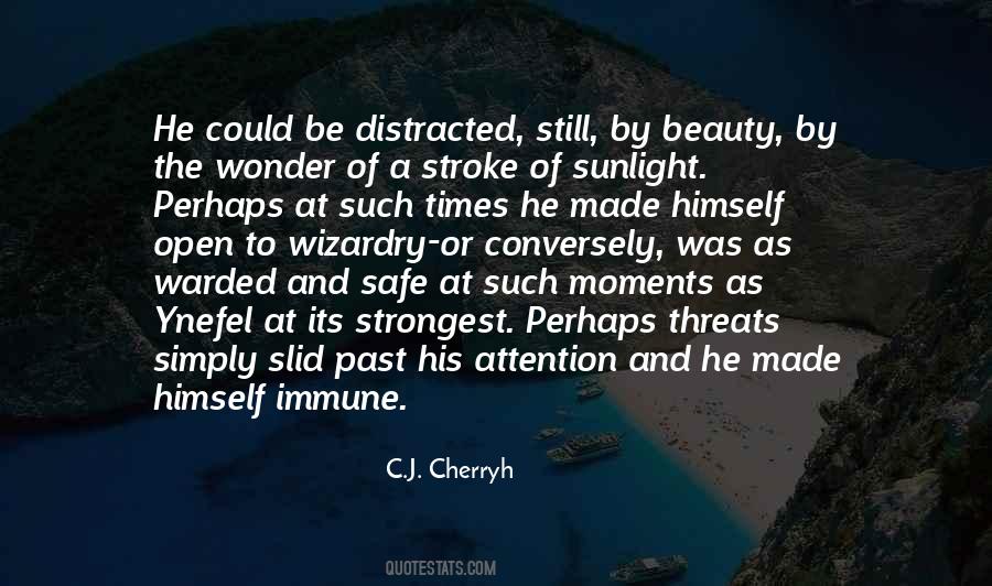 C.j. Cherryh Quotes #414522