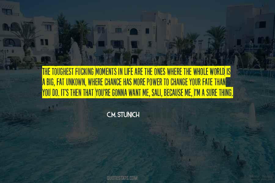 C.m. Stunich Quotes #394692