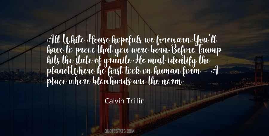 Calvin Trillin Quotes #1281175