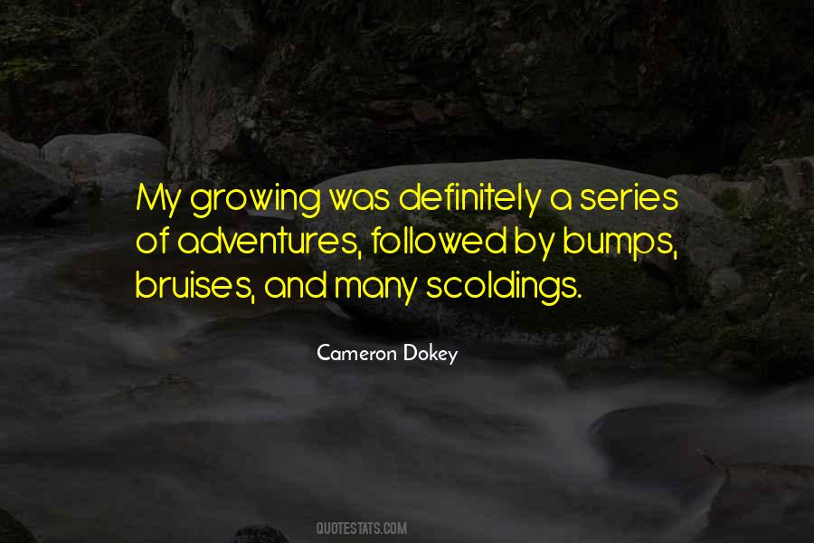 Cameron Dokey Quotes #1027614
