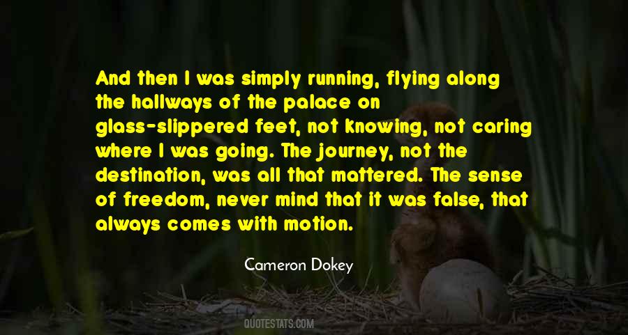 Cameron Dokey Quotes #1484404