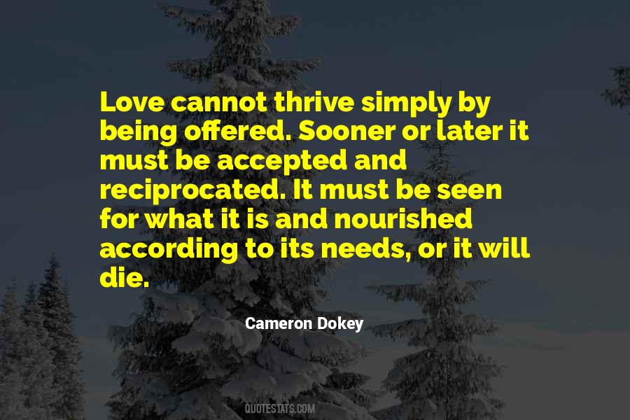 Cameron Dokey Quotes #829370