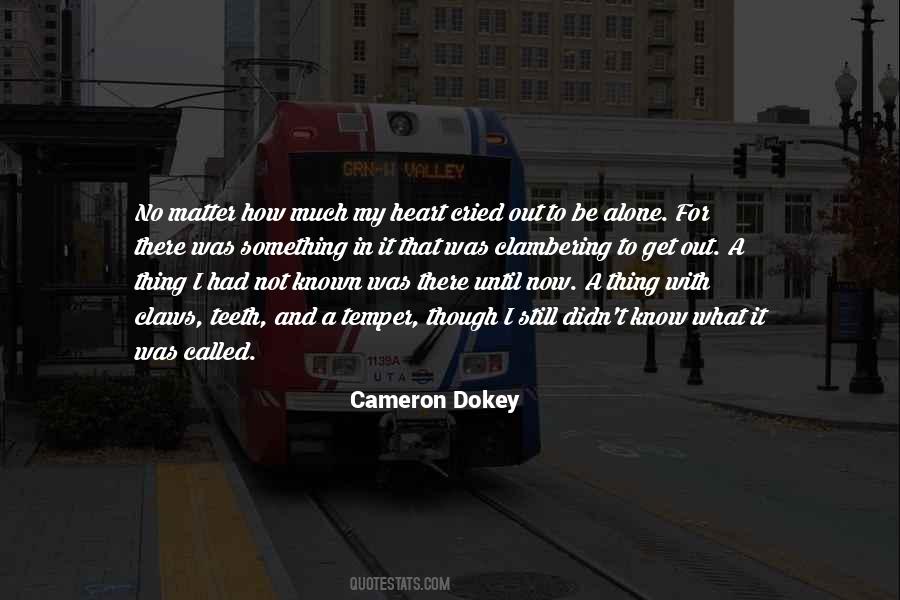 Cameron Dokey Quotes #912025
