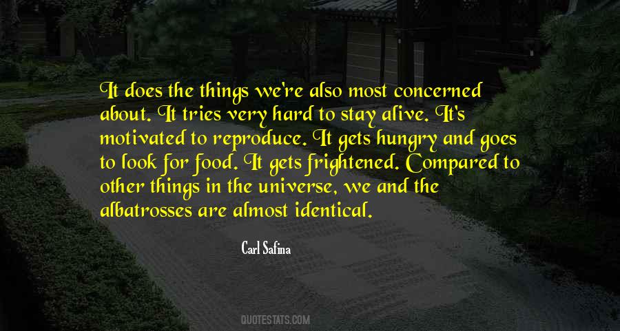 Carl Safina Quotes #1681383