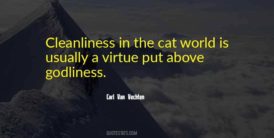 Carl Van Vechten Quotes #40373