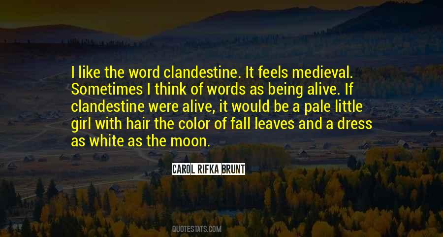 Carol Rifka Brunt Quotes #101743