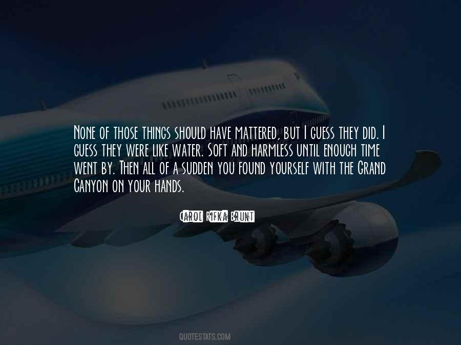 Carol Rifka Brunt Quotes #1225342