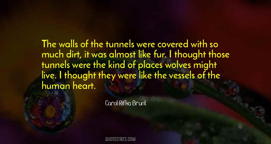Carol Rifka Brunt Quotes #152745
