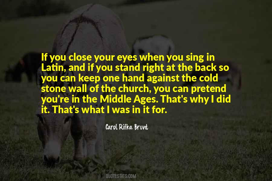 Carol Rifka Brunt Quotes #838703