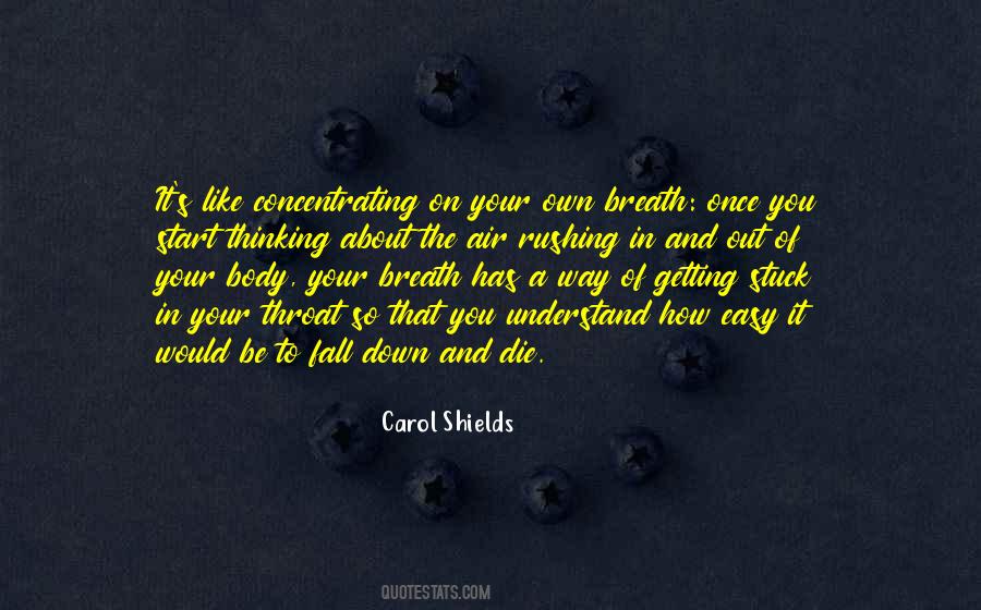 Carol Shields Quotes #1039284