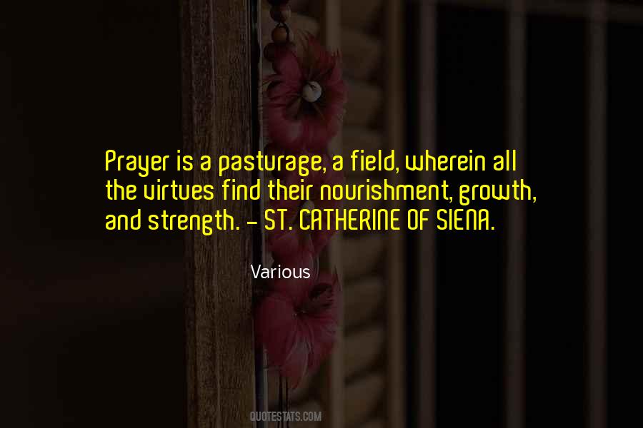 Catherine Of Siena Quotes #898491