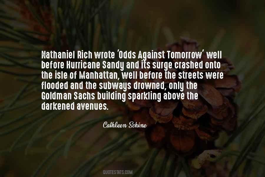 Cathleen Schine Quotes #638033