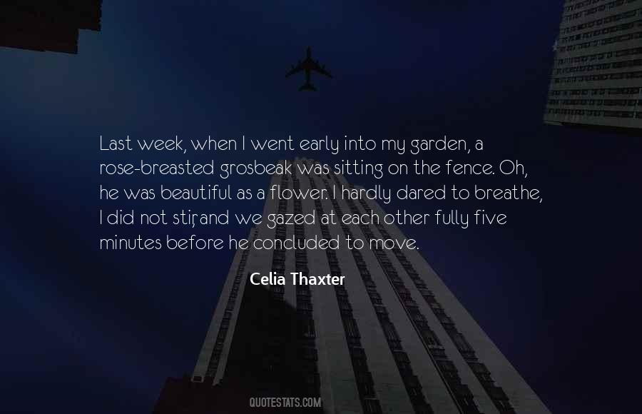 Celia Thaxter Quotes #252835