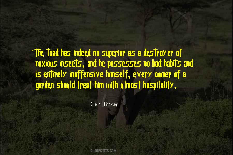 Celia Thaxter Quotes #346438
