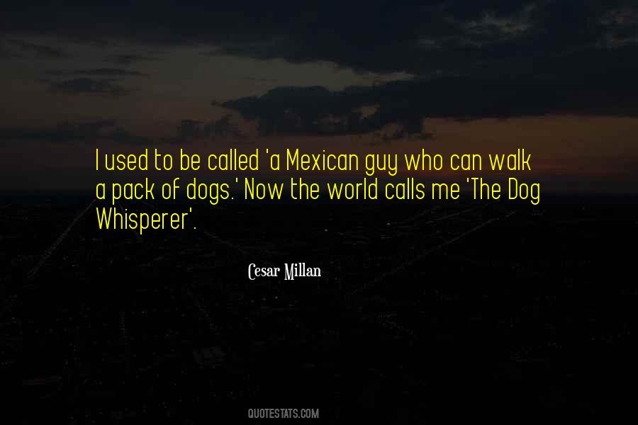 Cesar Millan Quotes #1036548