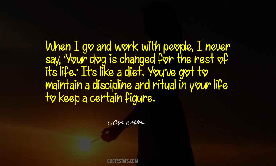 Cesar Millan Quotes #1268258
