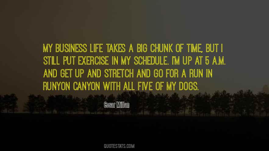 Cesar Millan Quotes #1335724