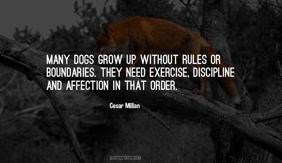 Cesar Millan Quotes #144065
