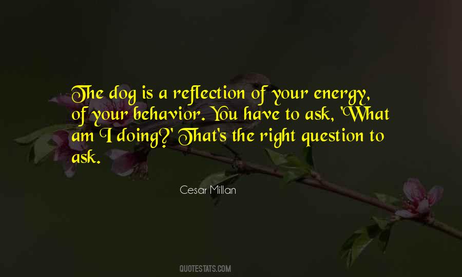 Cesar Millan Quotes #1444716