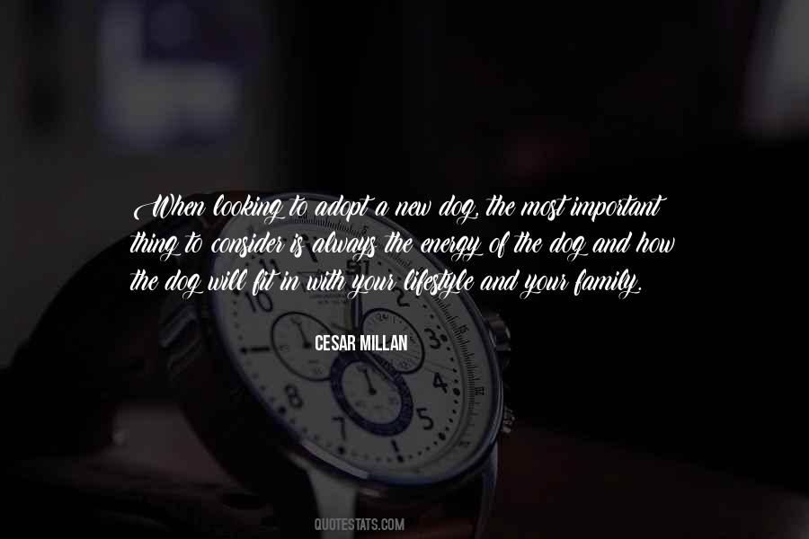 Cesar Millan Quotes #1540821