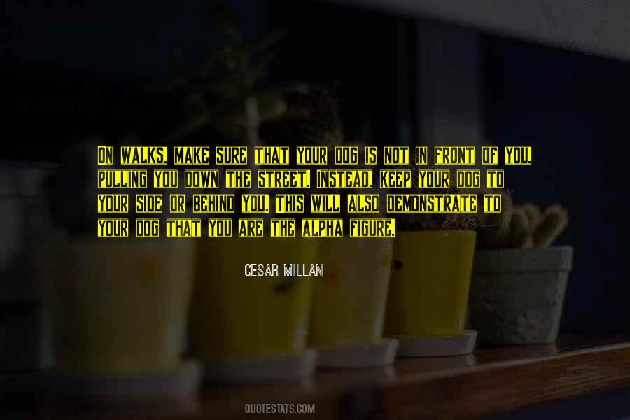 Cesar Millan Quotes #1829468