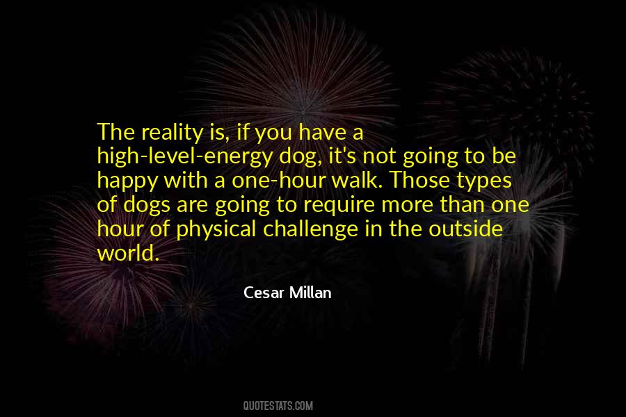 Cesar Millan Quotes #194356