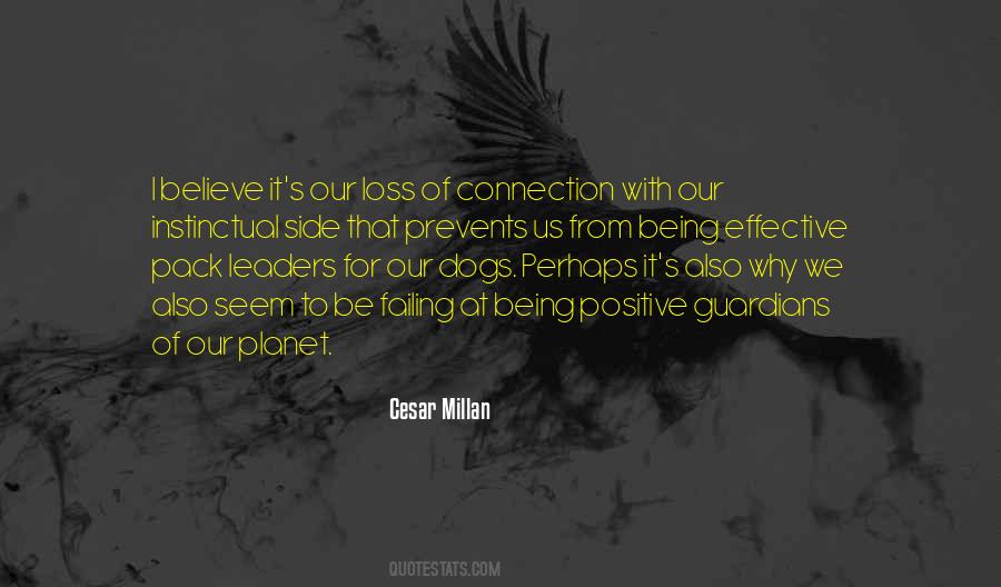 Cesar Millan Quotes #195992