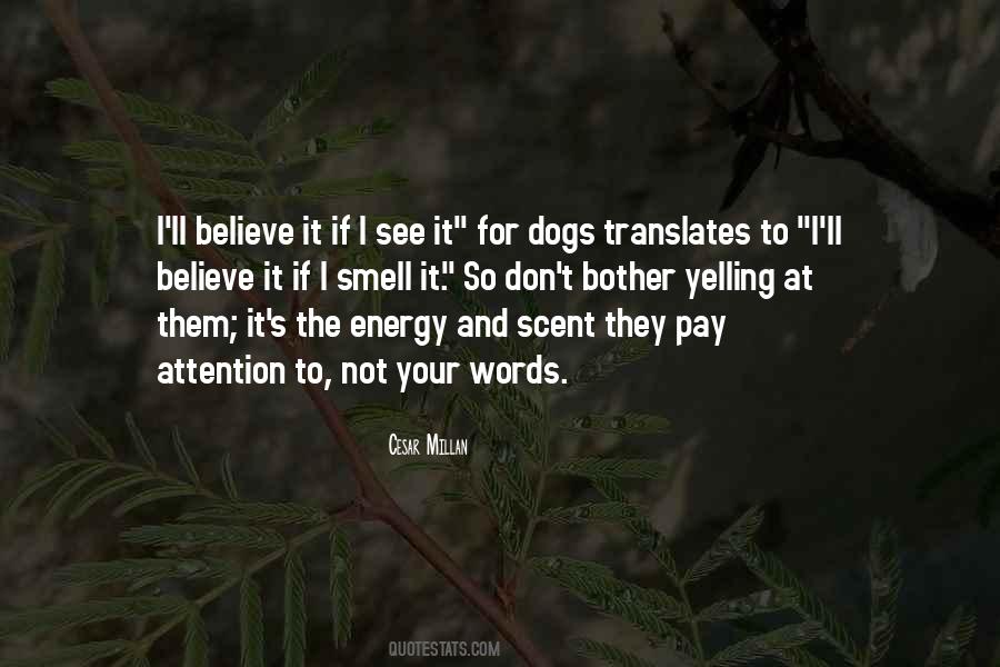 Cesar Millan Quotes #404253