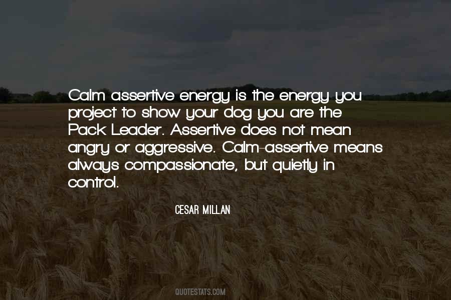 Cesar Millan Quotes #480903