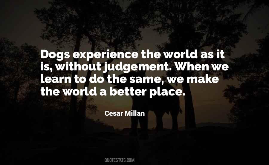 Cesar Millan Quotes #804395