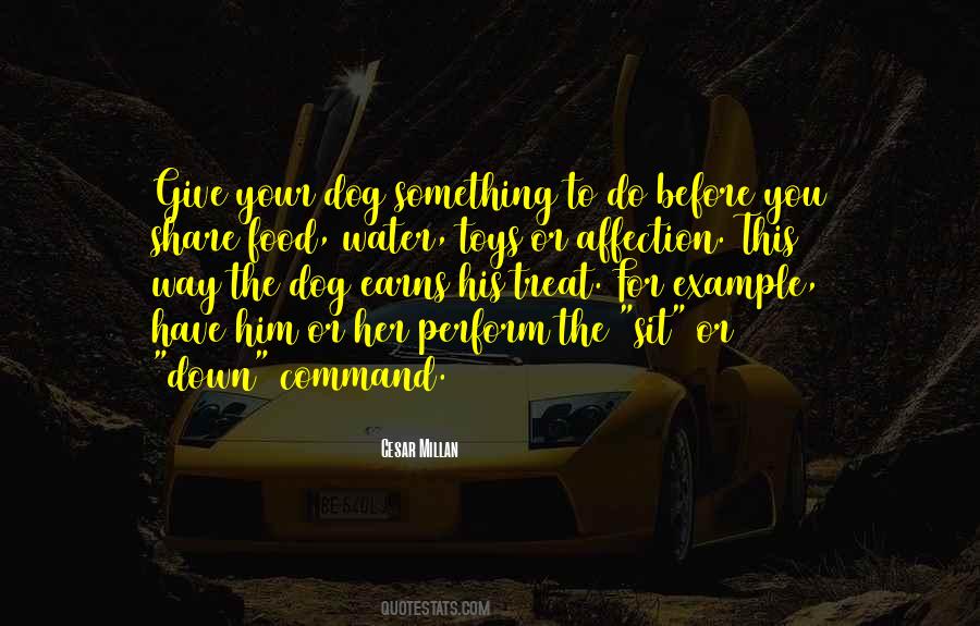 Cesar Millan Quotes #814414