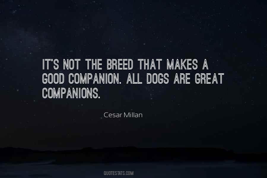 Cesar Millan Quotes #854467