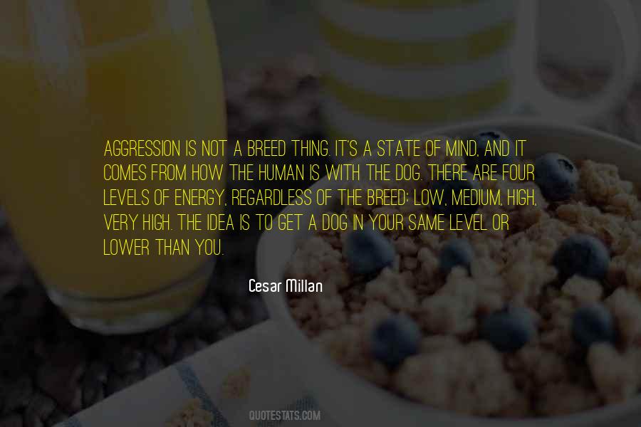 Cesar Millan Quotes #870444