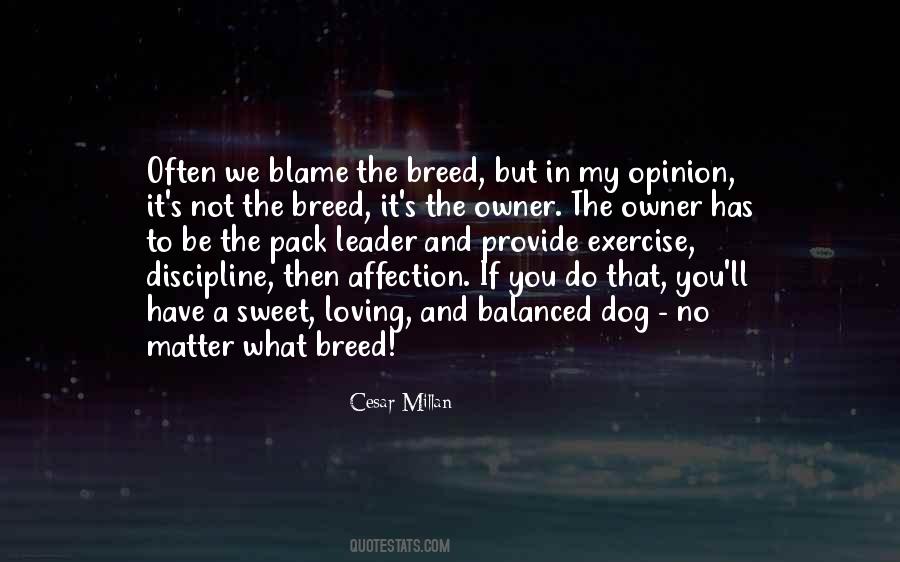 Cesar Millan Quotes #927535