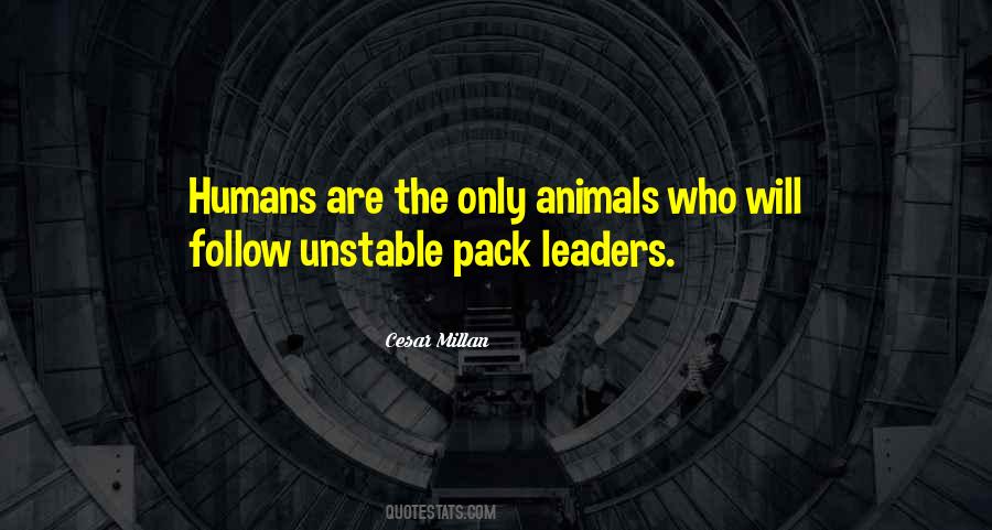 Cesar Millan Quotes #947404