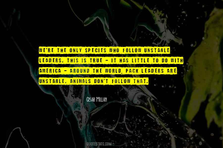 Cesar Millan Quotes #975084
