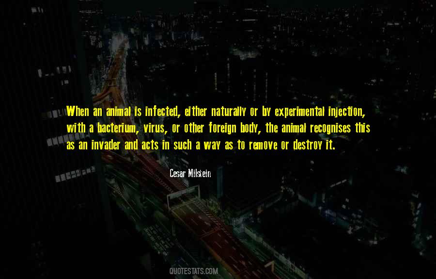 Cesar Milstein Quotes #1344023