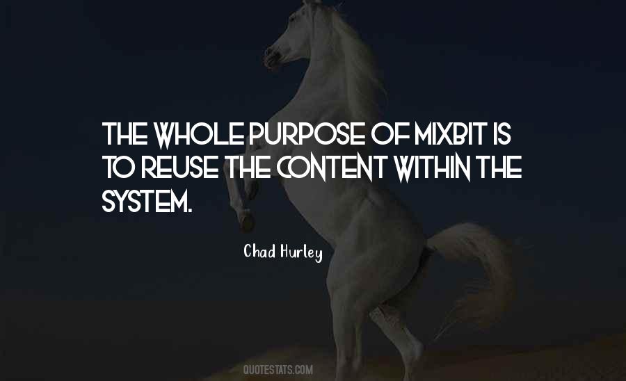 Chad Hurley Quotes #571777