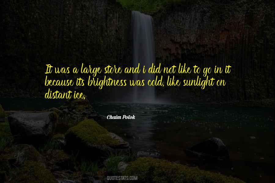 Chaim Potok Quotes #532301