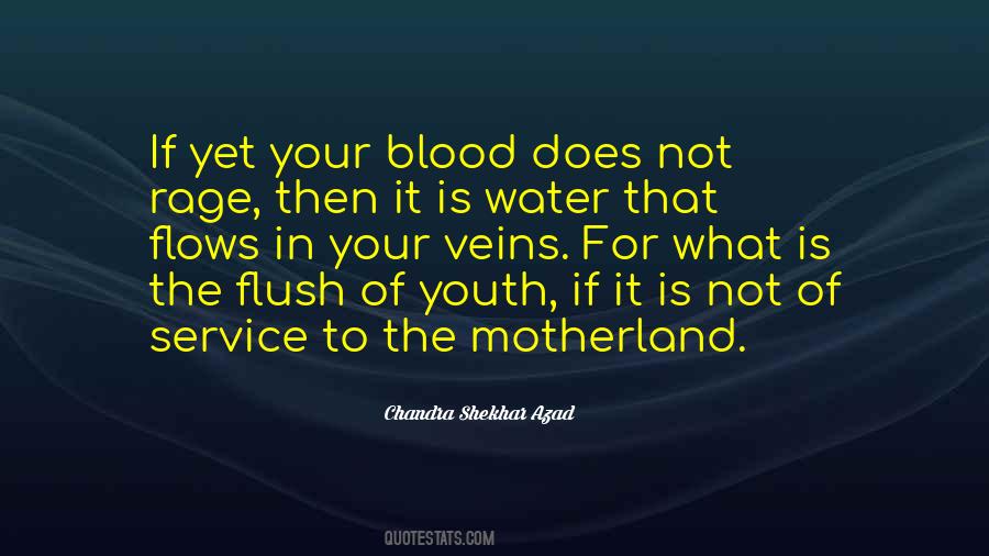 Chandra Shekhar Azad Quotes #1688683