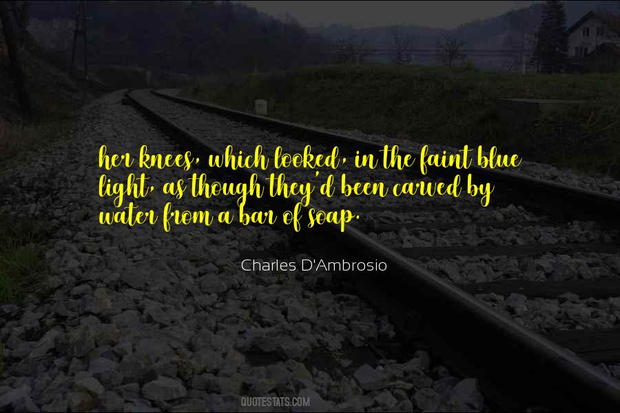 Charles D'ambrosio Quotes #258462
