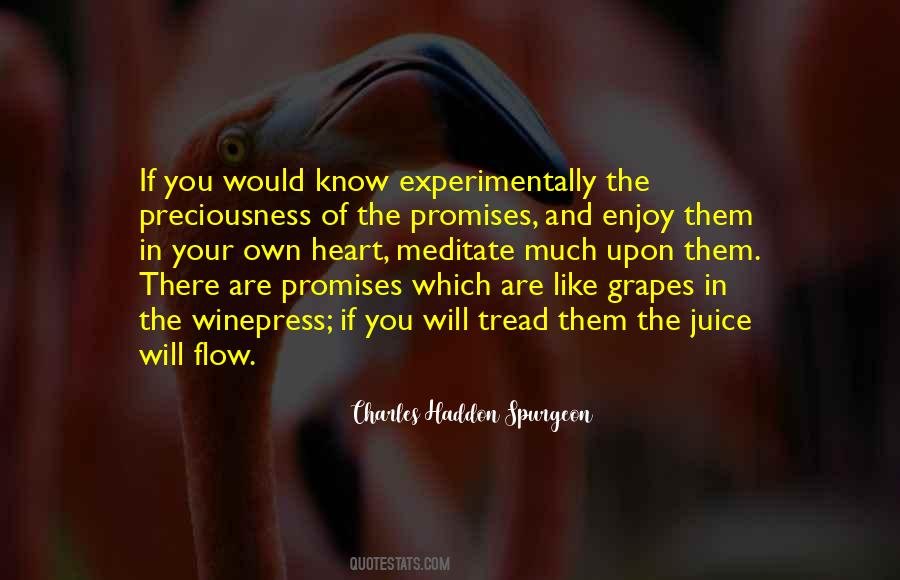 Charles Haddon Spurgeon Quotes #134765