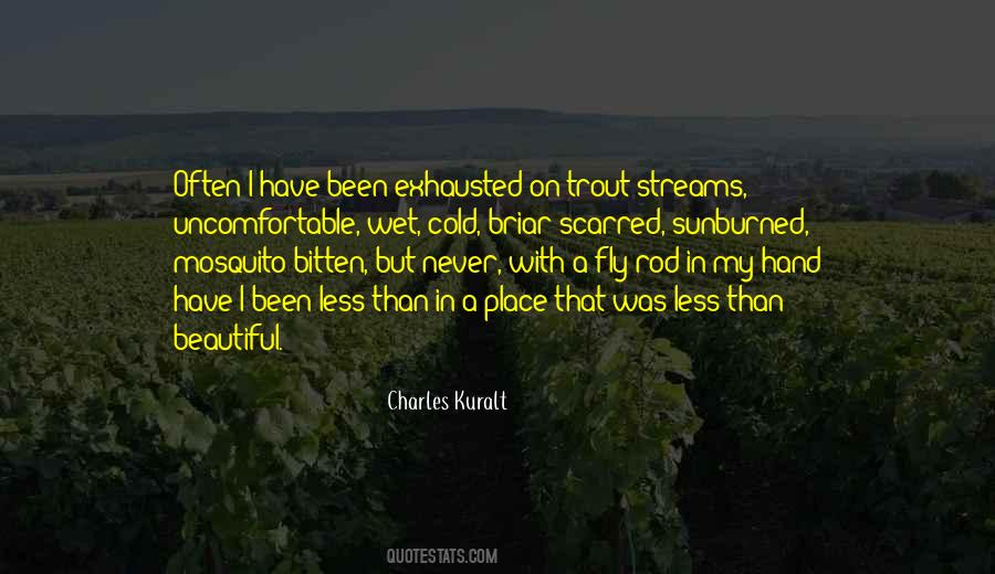 Charles Kuralt Quotes #1404722