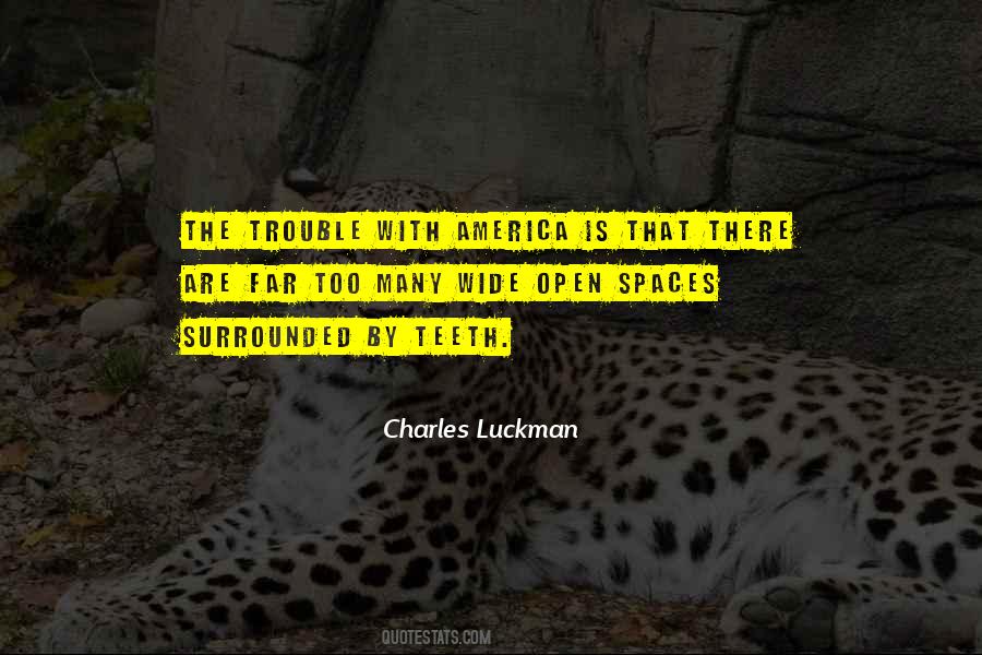 Charles Luckman Quotes #581612
