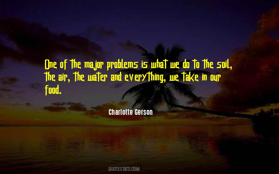 Charlotte Gerson Quotes #337642