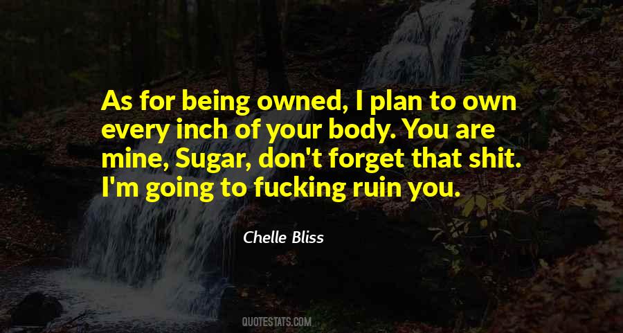 Chelle Bliss Quotes #568067