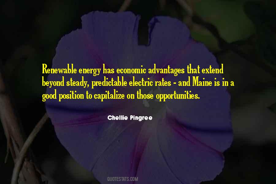 Chellie Pingree Quotes #76144