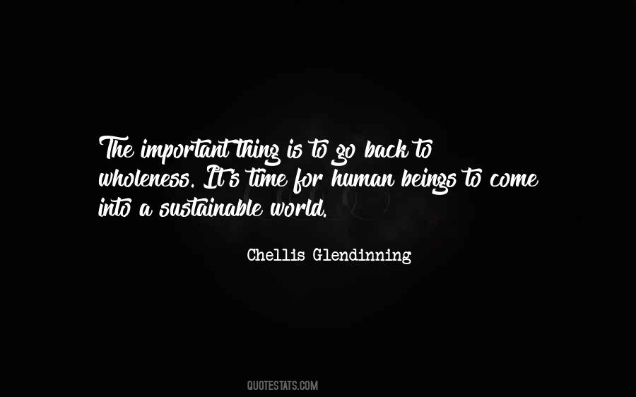Chellis Glendinning Quotes #1024842