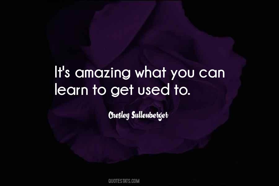 Chesley B Sullenberger Quotes #1265053